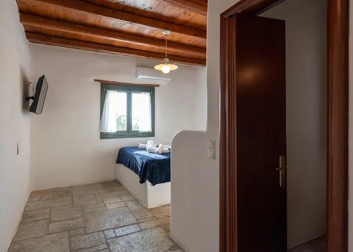 Franca Ideal For Wedding Parties