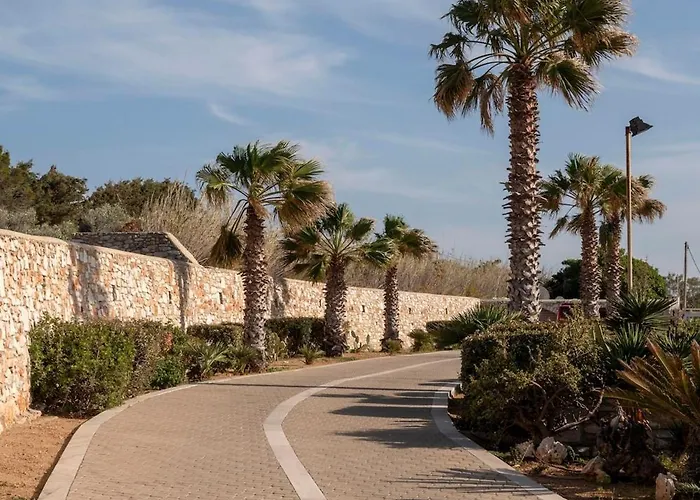 Franca Ideal For Wedding Parties *