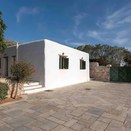 Franca Ideal For Wedding Parties *