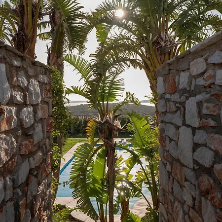 Franca Ideal For Wedding Parties *