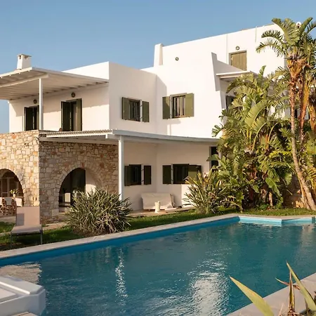 Franca Ideal For Wedding Parties