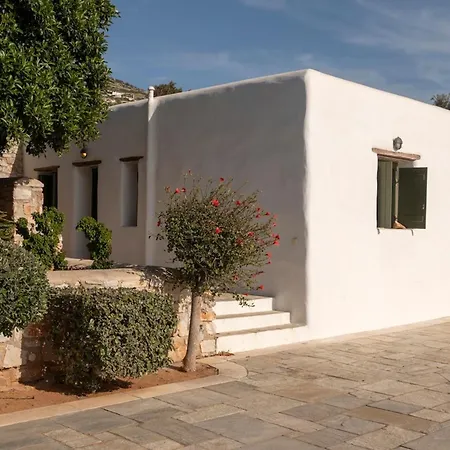 Franca Ideal For Wedding Parties