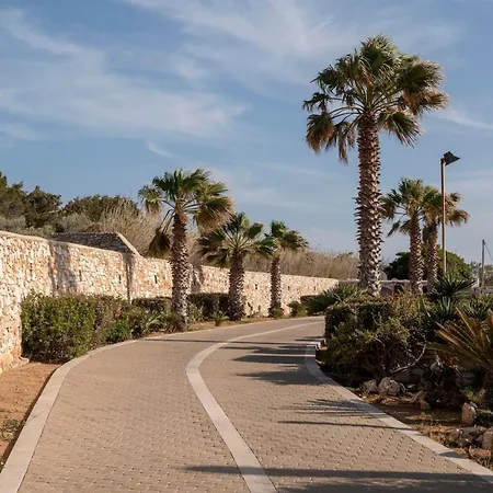 Franca Ideal For Wedding Parties *