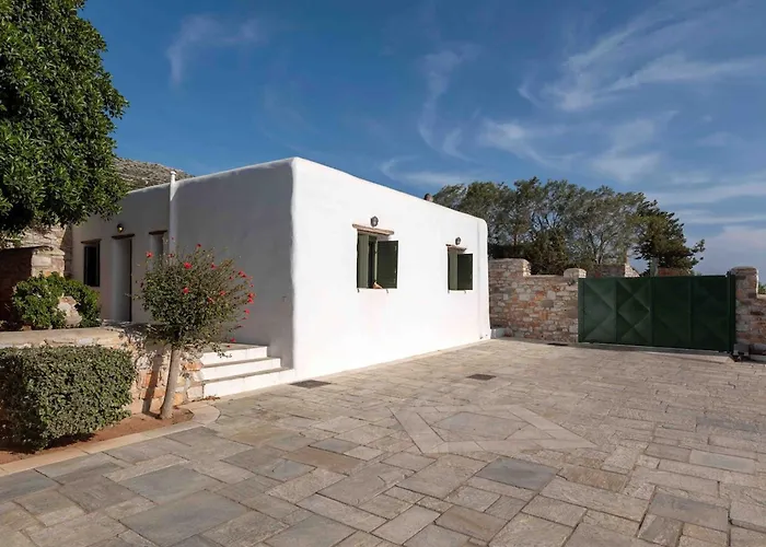 Franca Ideal For Wedding Parties *