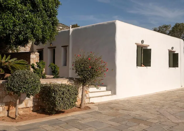 Franca Ideal For Wedding Parties